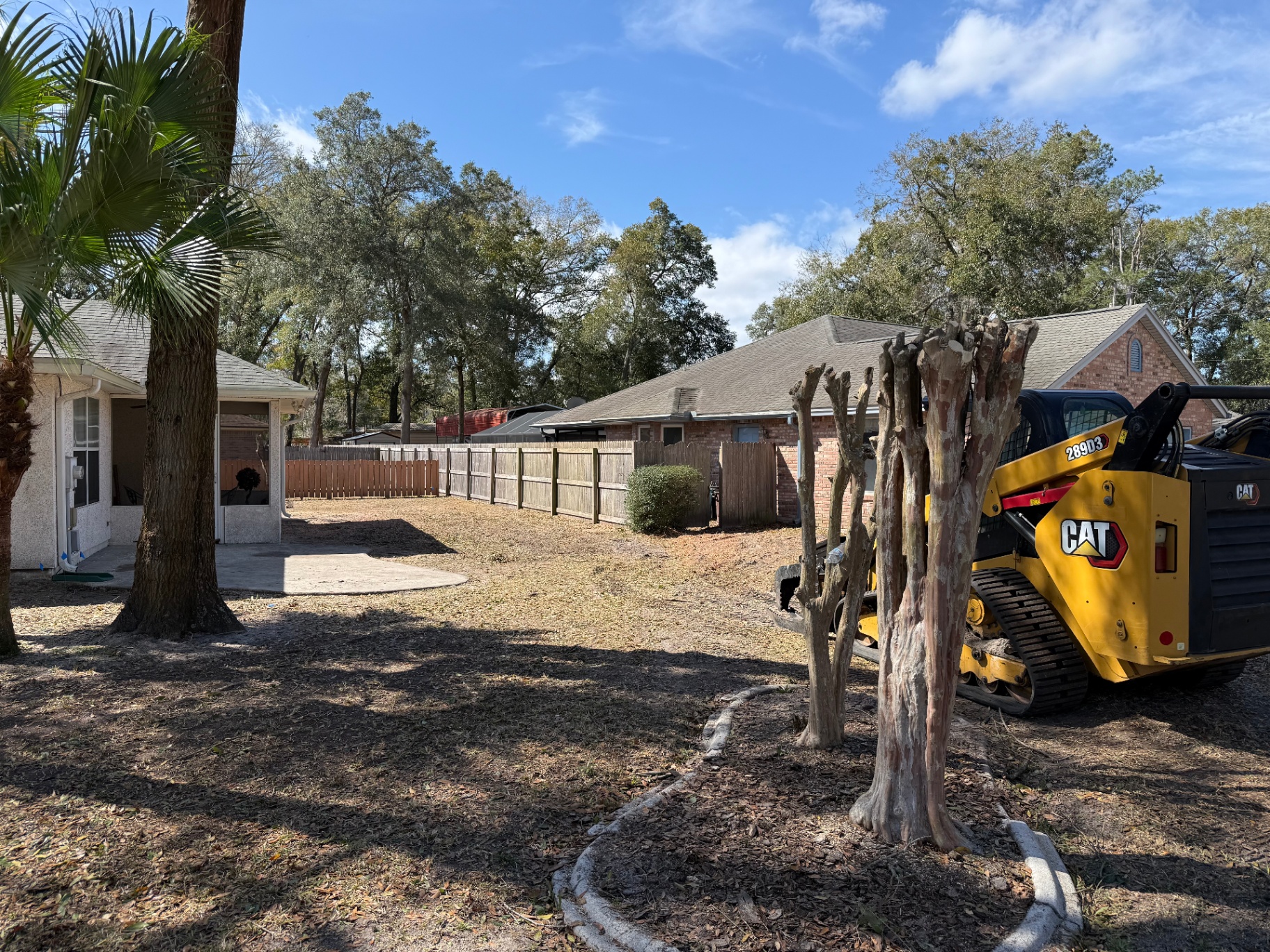 Stump Grinding & Removal by AGES Tree Service in Orange Park and Jacksonville FL