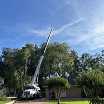 Hauling Services by AGES Tree Service in Orange Park and Jacksonville FL